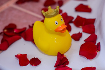 Yellow duck for bathing in the crown