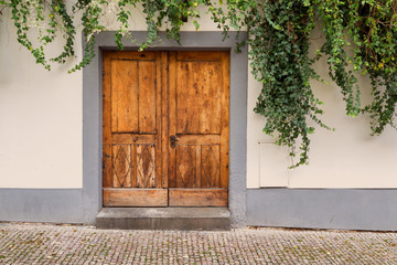 Wooden door overgrown with ivy