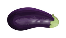 Isolated Purple Eggplant.