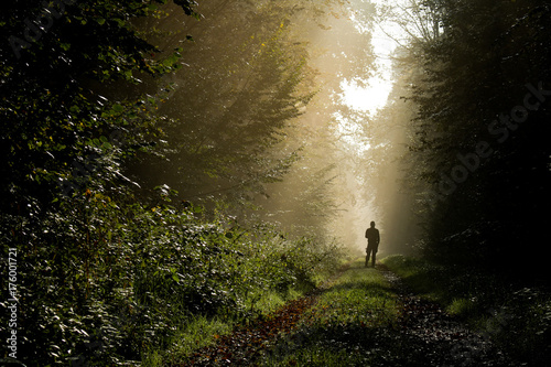 Plakat Osoba w lesie w świetle poranka