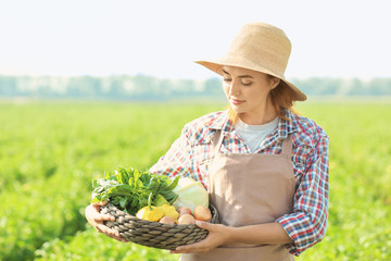 Poster - Female farmer holding wicker bowl with vegetables in field