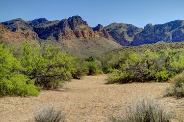 Wall Mural - desert trail