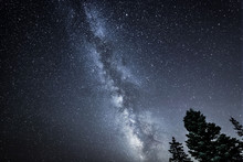 Milky Way Galaxy Above Trees