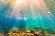 © blurMEDIA/Stocksy - Underwater Photo of Crystal Clear Freshwater Lake Landscape at Family Cottage on Georgian Bay Canada