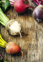 Canvas Print - Fresh organic beetroots of different varieties