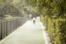 Rding A Bicycle In A Green Park, Thailand, Bangkok, Jatujak Park