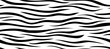 Zebra Stripes Pattern