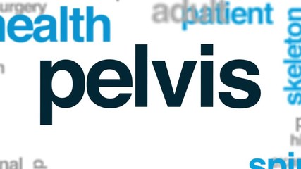 Poster - Pelvis animated word cloud, text design animation.