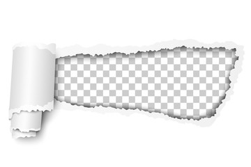 Wall Mural - Torn, snatched hole in white paper. Transparent checkered background of the resulting window. Vector template paper design.
