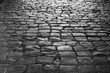 © Svetlana Lukienko - Ancient cobblestone pavement
