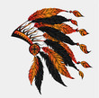 Colored roach.Indian feather headdress of eagle