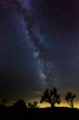 The Milky Way over Joshua Tree National Park