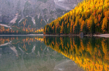 Amazing view of Braies Lake at autumn day