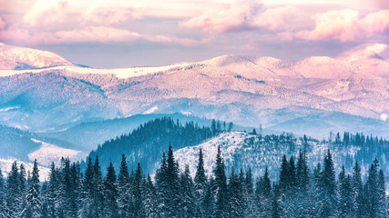  Beautiful winter mountain range in sunset light, alpine landscape, Carpathian mountains