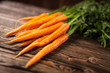 Fresh organic carrot