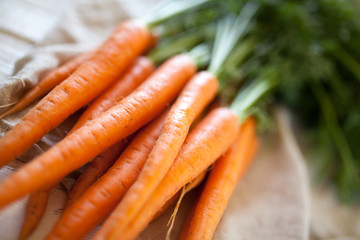 Wall Mural - Fresh organic carrot