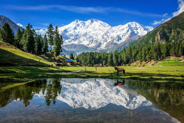 Fairy Meadows - Pakistan 