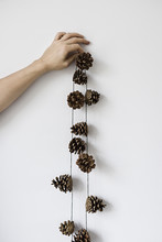 Hand Holding Pinecones On A String Against White Wall