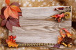 aufgetischt, altes Holzbrett auf Damwildfell, dekoriert mit buntem Weinlaub, Abwurfstangen, Pilzen, Fasanfedern als Hintergrund