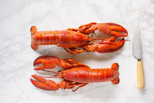 Two Cooked Lobsters