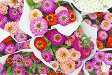 Bouquets Of Colorful Zinna Flowers