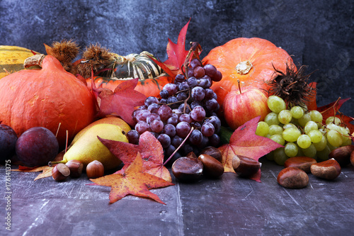 Autumn harvest seasonal fruits and vegetables on grey background. © beats_