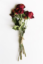 Dried Red Roses On A White Background