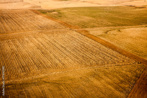 Zdjęcie XXL Widok z lotu ptaka upraw w późnym popołudniem