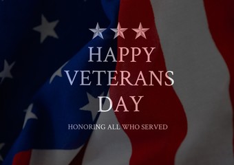 Poster - veterans day flag