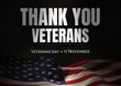 © vectorfusionart - veterans day flag