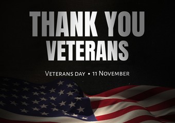 Wall Mural - veterans day flag