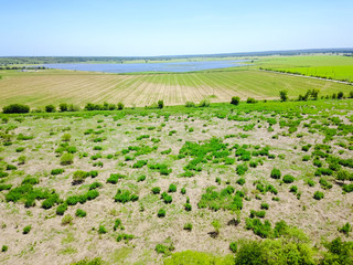 Wall Mural - Aerial view of solar farm near Austin, Texas, USA. Renewable energy background.