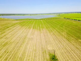 Wall Mural - Aerial view of solar farm near Austin, Texas, USA. Renewable energy background.