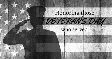 Poster - veterans day soldier in front of flag
