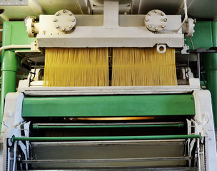 Wall Mural - equipment for pasta or noodle production