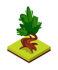 green chestnut tree isometric 3d icon. public park decorative plant and green grass vector illustrat