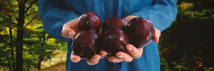 Poster - Composite image of mid section of woman holding plums