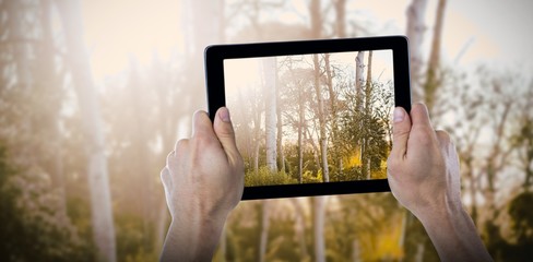 Poster - Composite image of cropped hand holding digital tablet