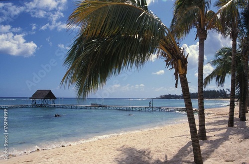 Plage De Sable Blanc Avec Palmier Et Cocotier Sur Lîle