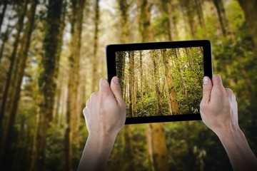 Poster - Composite image of cropped hand holding digital tablet