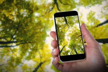 Poster - Composite image of close-up of hand holding mobile