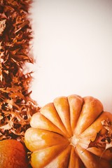 Wall Mural - Overhead view of pumpkin and squash by autumn leaves