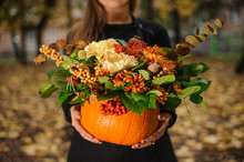 Autumn Pumpkin Floral Arrangement Free Stock Photo - Public Domain Pictures