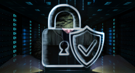 Leinwandbilder - Hacker accessing to personal data information with a computer 3D rendering