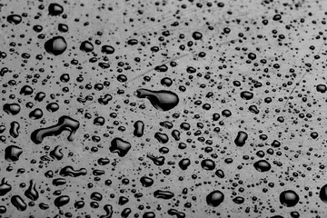 Poster - water drops splash on the black floor