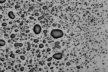 Wall Mural - water drops splash on the black floor