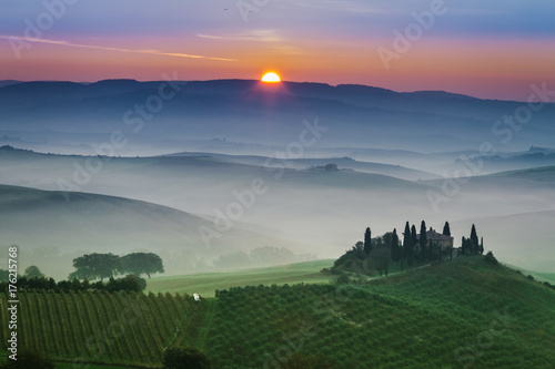 Stunning foggy green fields...