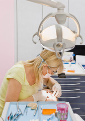 Wall Mural - Female dentist working on a male patient