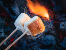 Two Brown Sweet Marshmallows Roasting Over Fire Flames. Marshmallow On Skewers Roasted On Charcoals