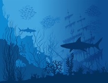 Blue Underwater Landscape With Sunken Ship, Sharks And See Weeds. Vector Hand Drawn Illustration.